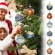 thumbnail image 2 of Ireezec Natural Wonders ries Christmas Ball Flat Acrylic Ornament Hanging Pendant for Holiday Tree Decorations Winter Festival Home Party Decorative Gift, 2 of 2