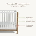 thumbnail image 4 of Little Seeds Laurel 4-in-1 Convertible Baby Crib, Black/Acorn, 4 of 19