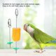 thumbnail image 4 of 2 Pack Stainless Steel Parrot Bird Food Holder Fruit Meat Vegetable Fork, 4 of 4