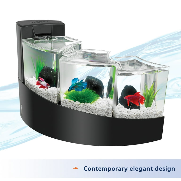 Betta falls deals