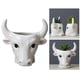 thumbnail image 4 of Macetas s, maceta de cerámica con forma de toro, maceta para plantas de Cactus de interior al, 4 of 9