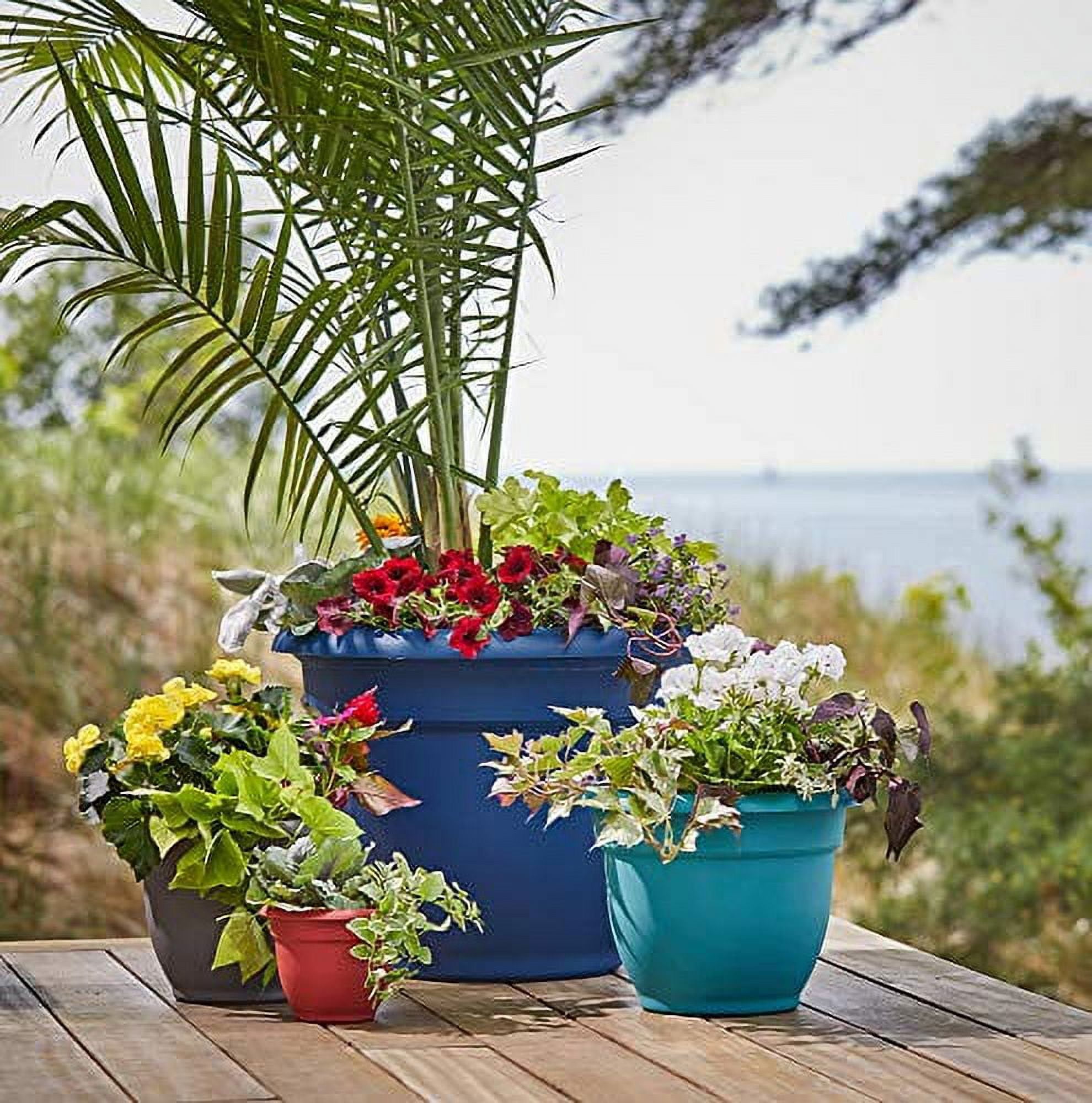 Bloem Ariana 10" Chocolate Round Self-Watering Resin Planter Pot - Rolled Rim Indoor and Outdoor Gardening Planter