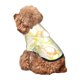thumbnail image 5 of Fotbe Lemon Potatoes Sudadera con Estampado para Perros Pequeños – Suéter con Capucha para Mascotas, Tela Suave de Forro Polar con Bolsillo-XX-Large, 5 of 7