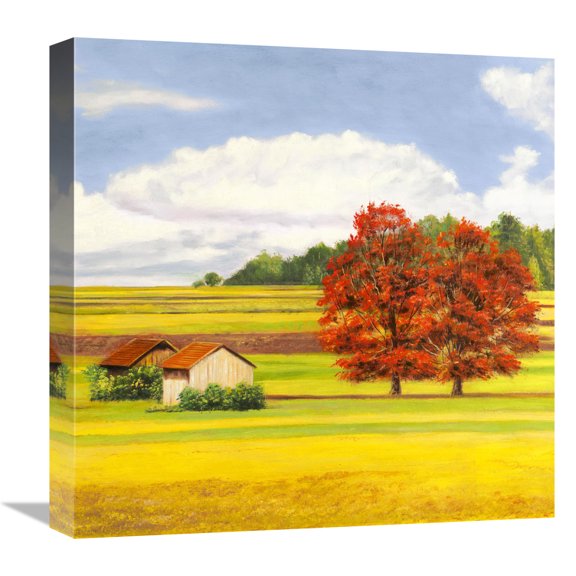 Global Gallery's 'Pianure serene II (detail)' by Angelo Masera Stretched Canvas Wall Art