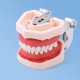 thumbnail image 5 of Modelo Dental de resina, modelo de entrenamiento Typodont, modelo de dientes para adultos para práctica de técnico Dental, equipos de dentista para enseñanza de mandíbula de goma, 5 of 5