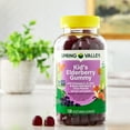 thumbnail image 4 of Spring Valley Kids Non GMO Elderberry Vegetarian Gummies for Immune System Support, Elderberry Flavor, 120 Count, 4 of 11