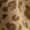 Brown, variant on Cheetah Print Hoodie Y2k Leopard Print Hoodie Oversized Cheetah Sweatshirt Pullover Vintage Streetwear Hoodies