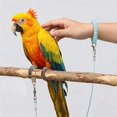 Flying Rings Birds GASTROPOD Parrot Flying Rope Lightweight Bird Harness Leash with Foot ...