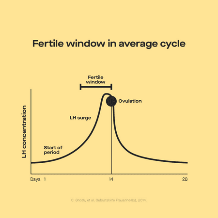 Modern Fertility Ovulation Test, 20 Test Strips