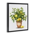 thumbnail image 2 of Stupell Industries Tropical Potted Lemon Tree Black Floating Frame Canvas Art, 17 x 21, by Shelly Craig, 2 of 8