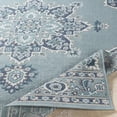 thumbnail image 4 of Livabliss Alfresco Vintage Indoor/Outdoor Runner Area Rug,2'5" x 7'10",Pale Blue, 4 of 8