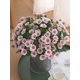 thumbnail image 1 of 1PC 21heads Artificial Daisy Flowers Bouquet Valentine'S Day Gifts Bundle Decoration Wedding Decoration Bride Handheld Flower Wrist Flower Breast Mate, 1 of 4