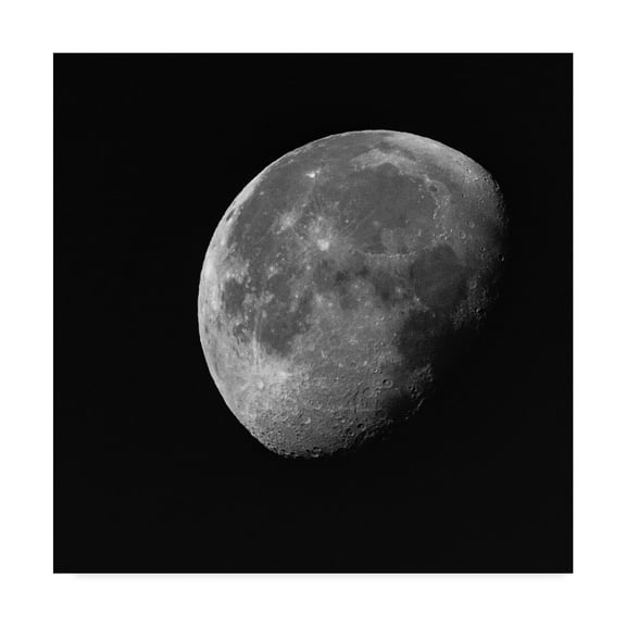 Trademark Fine Art 'Near Side Of The Moon' Canvas Art by Brenda Petrella Photography Llc