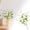 White, variant on Artificial forget-Me-Nots Silk Flowers, Realistic Floral Decoration Bouquet Home Decor, Wedding Centerpiece, Table Arrangement, Low Fake Plants, Pink