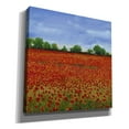thumbnail image 2 of Epic Graffiti 'Field of Poppies I' by Tim O'Toole, Canvas Wall Art, 26"x26", 2 of 2