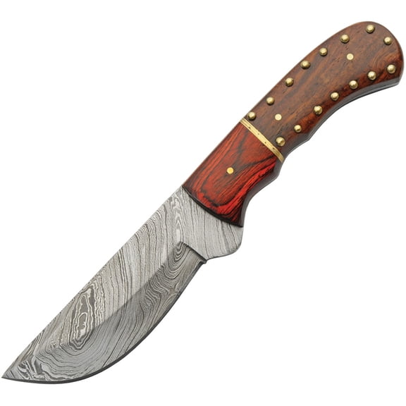 Damascus DM-1348 4.5" Damascus Blade Wood Handle Fixed Skinner Knife