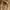 Beige, variant on Clearance HuaLeiMao Sweaters for Womens Casual Long Sleeve Round Neck Solid Color Cable Knit Chunky Sweater Pullover Jumper Tops