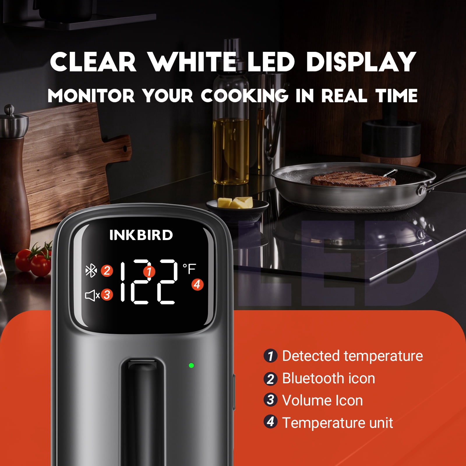 INKBIRD Wireless Dual-Sensor Meat Thermometer – details