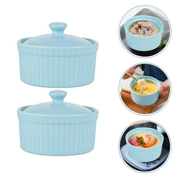 Minkissy Blue Ceramic Lidded Dessert Bowls for Storage Safe and Reliable Reusable Kitchen Bowls 2pcs