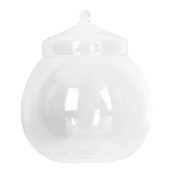 Worgeous  Micro Landscape Ecological Bottle Succulent Terrarium Plants Indoor