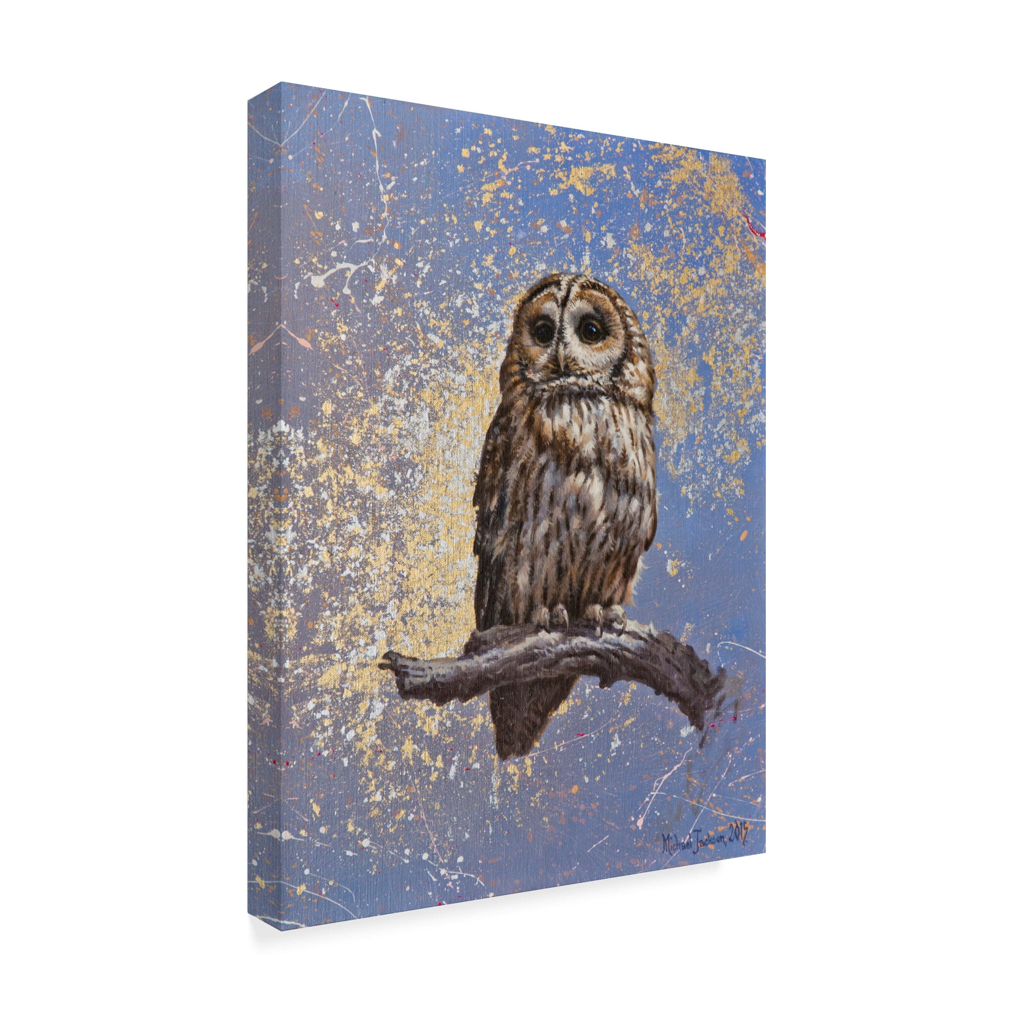 Owl Over Background' Canvas Art by Michael Jackson