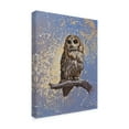thumbnail image 2 of Trademark Fine Art 'Owl Over Background' Canvas Art by Michael Jackson, 2 of 3