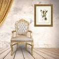 thumbnail image 3 of Wang, Melissa 12x14 Gold Ornate Wood Framed with Double Matting Museum Art Print Titled - After Rain IV, 3 of 4
