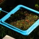 thumbnail image 4 of Estación de alimentación para acuario, comedero flotante, herramienta cuadrada/circular S2P2, 4 of 8
