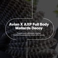 thumbnail image 2 of Avian X AXP Full Body Mallards Decoy, Ultra Realistic and Wind Activated, 6 Pack, 2 of 11