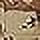thumbnail image 2 of Rothco Relaxed Fit Zipper Fly BDU Pants,6-Color Desert Camo, 2 of 2