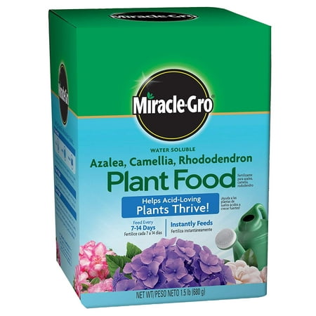 Miracle-Gro Plant Food for Azaleas, Camellias, and Rhododendrons, 1.5-Pound (Fertilizer for Acid Loving Plants), Instantly feeds acid-loving plants.., By