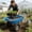 Blue, variant on Weetoo Steel Wheelbarrow Garden Cart with 2-Wheel, 15" Pneumatic Tires, Heavy Duty 300 LBS Capacity & Dump Function, Blue