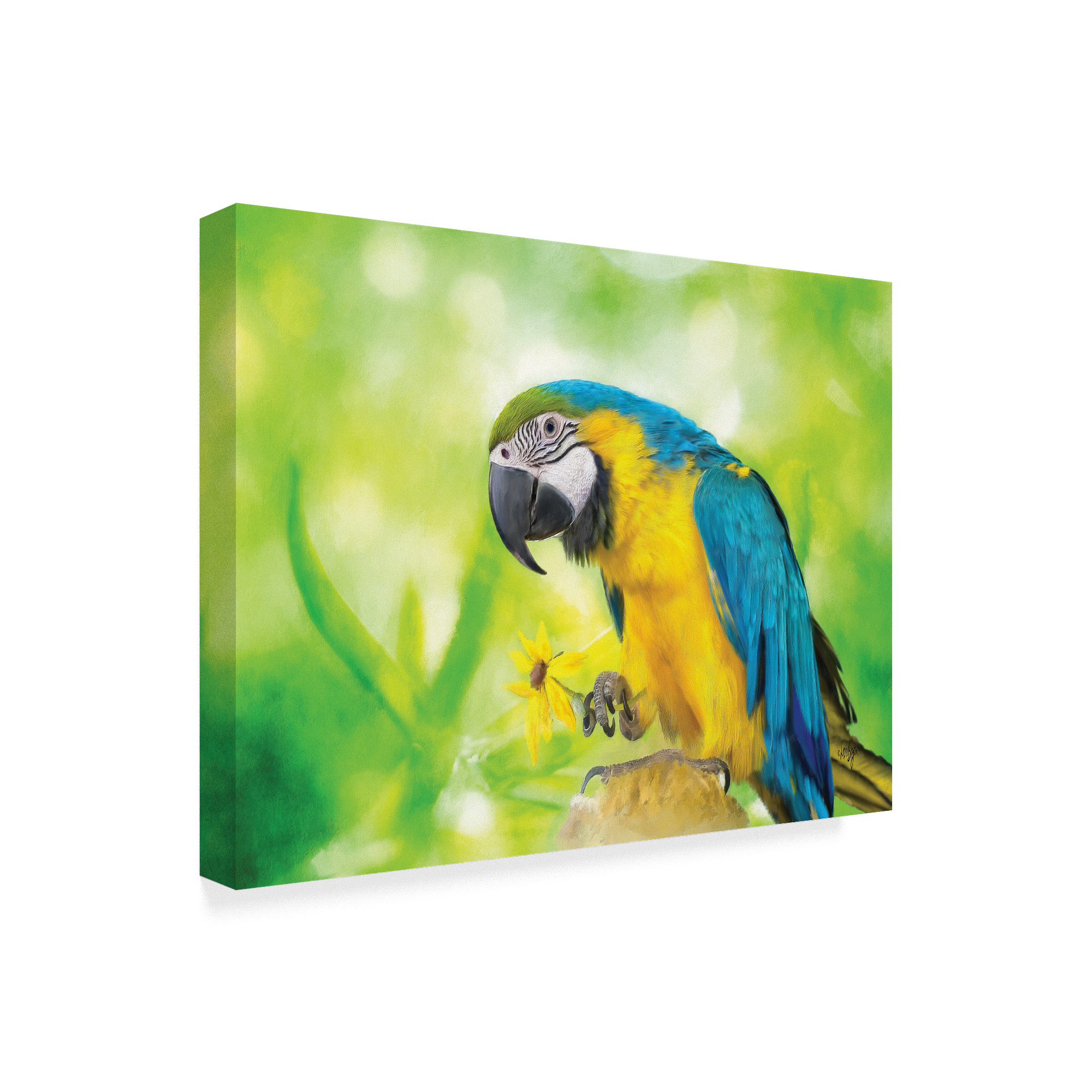 Trademark Fine Art 'Blue and Yellow Macaw' Canvas Art by Lois Bryan