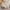 Orange, variant on Up to 60% off Gifts Dianli Boys Outfits - Perfect Two-Piece Long Sleeve Set for Spring and Summer New Arrivals Orange 12-18 Months