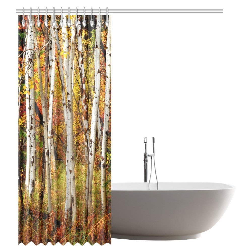 GCKG Fall Woodland Shower Curtain, White Fall Birch Trees with Autumn
