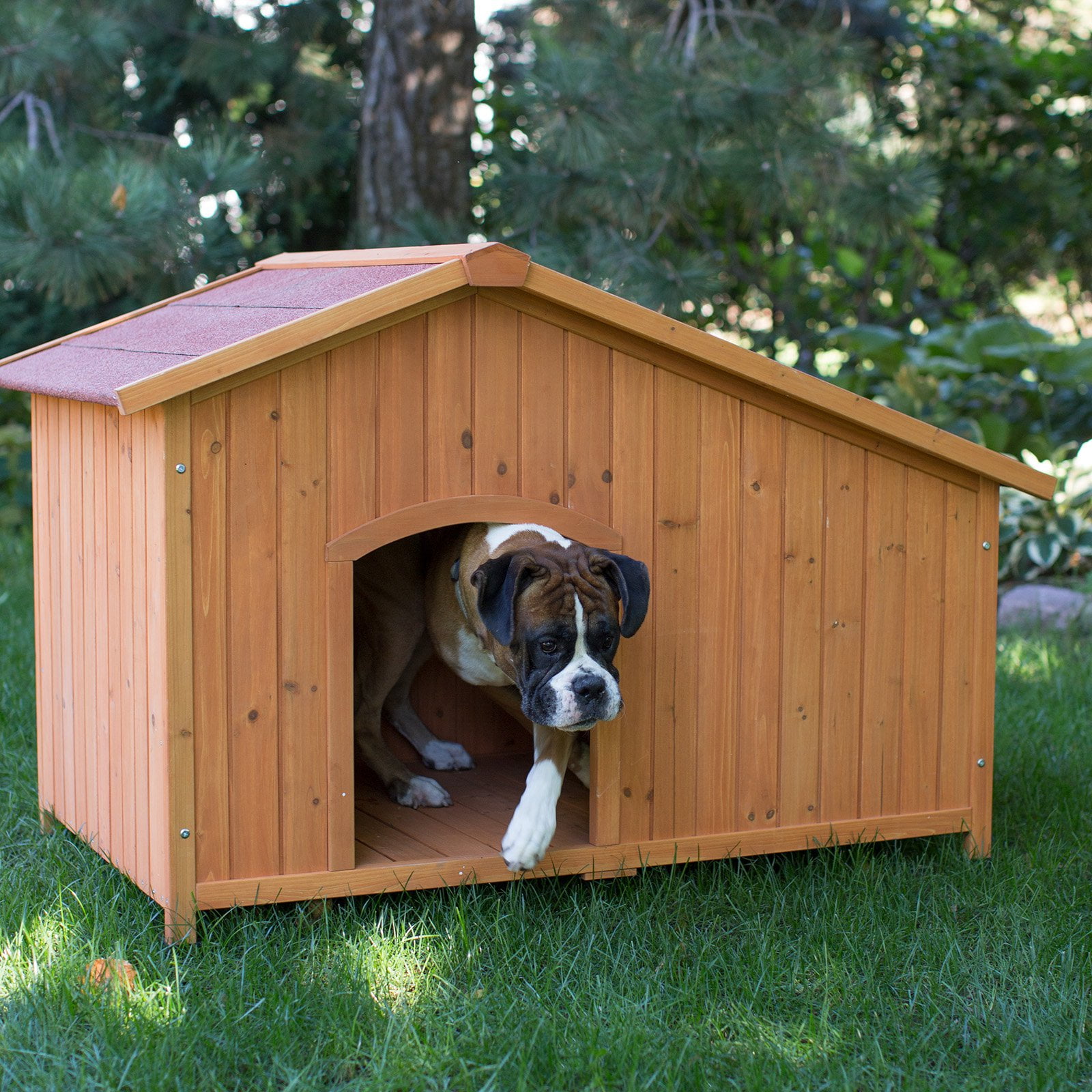 Boomer George Asymmetrical Dog House