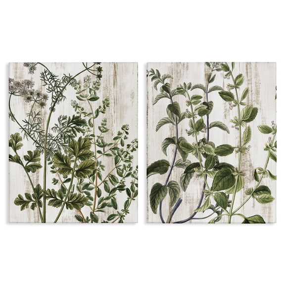 Stupell Industries Aged Botanical Leaves Plants & Flowers Painting Wrapped Canvas Art Print Wall Art, 16 x 20, Set of 2