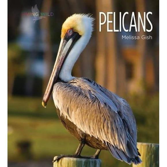 Pelicans