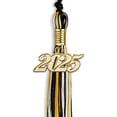 thumbnail image 2 of Endea Graduation Black/Gold/White Mixed Color Graduation Tassel with Gold Date Drop, 2 of 10