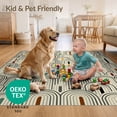 thumbnail image 4 of ODIKA 6'x9' Ultra-Soft Area Rug, Abstract Arches Geometric Pathway Design Modern Floor Covering None Washable, Bare feet friendly, Silk-Touch for Guest Room, Bedroom, 4 of 7