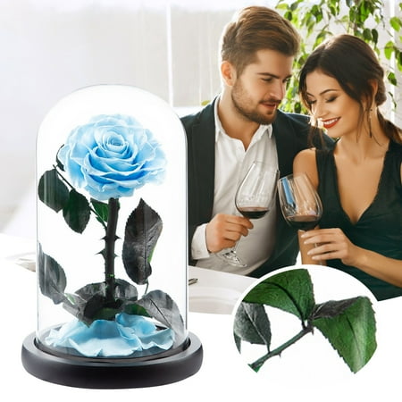 https://i5.walmartimages.com/asr/66282e64-15d2-440b-9797-10fa5db1cd74.86cbe96baae954d12b26c21935957658.jpeg?odnHeight=450&odnWidth=450&odnBg=ffffff