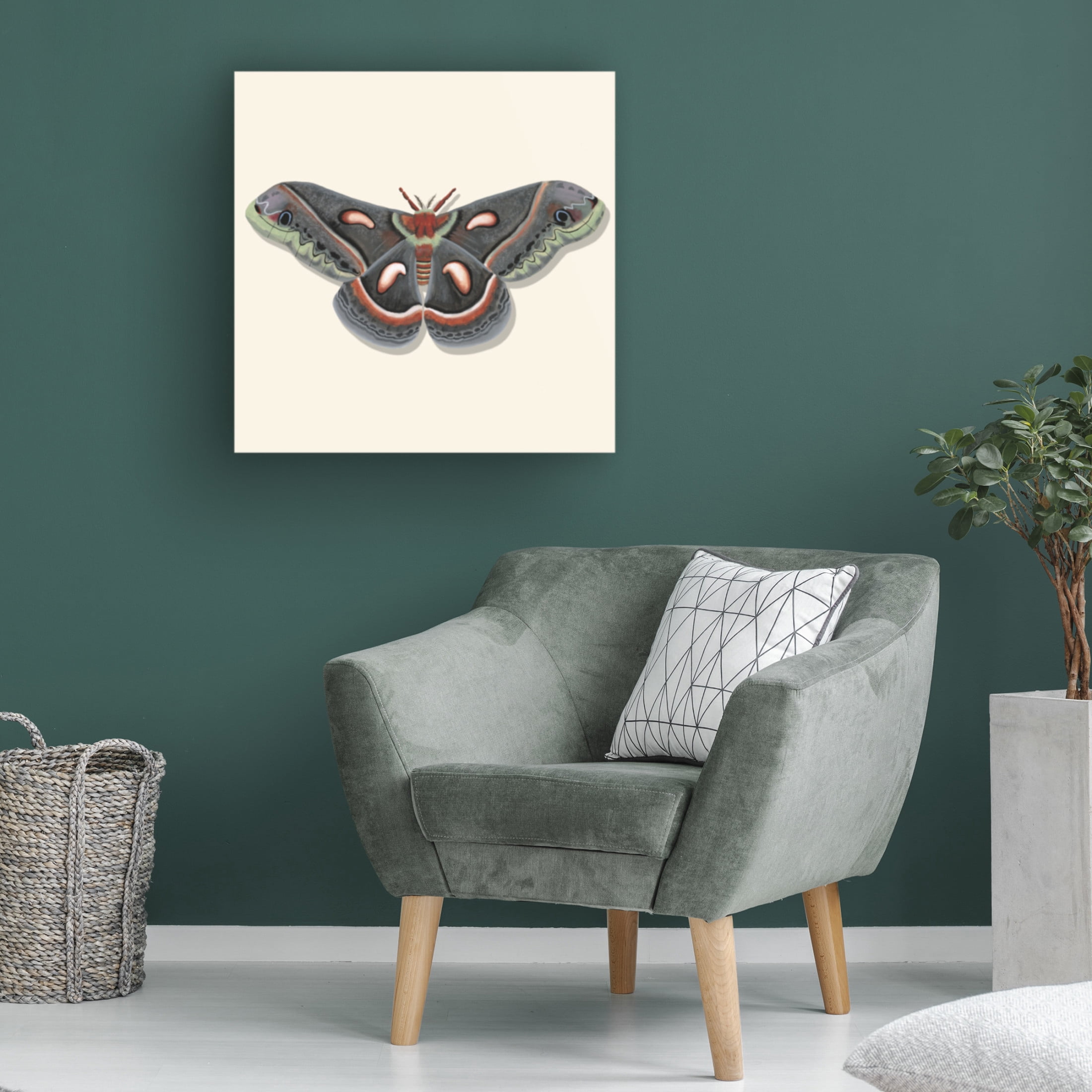 Canvas Wall Art - Michael Willett 'Watercolor Moths III' Wall Art for Living Room, Bedroom, or Office Décor by Trademark Fine Art - 35 x 35 Inches
