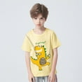thumbnail image 2 of Boys T Shirts Boys Summer Short Sleeve T Shirts Dinosaur Graphic Kids Casual Top Comfortable Tee 5-6 Years, 2 of 4