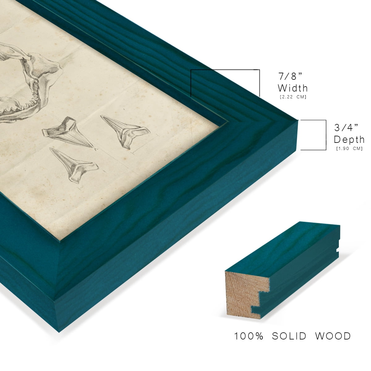 Shark Study II - Framed Print w/glass - Ocean Blue