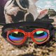 thumbnail image 5 of Gafas De Sol Para Perros Perros Pequeños Gafas De Sol Polarizadas Gafas Para Mascotas A Prueba De Viento Gafas Plegables Ajustables Banda Elástica Adecuadas Para Fotografía En Excursiones De, 5 of 6