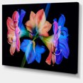 thumbnail image 2 of Abstract Blue Red Flower on Black - Extra Large Floral Wall Art, 2 of 4