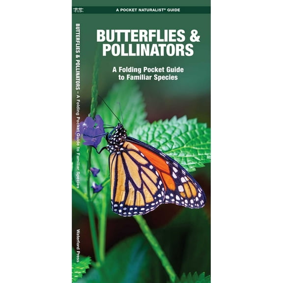 Butterflies & Pollinators : A Folding Pocket Guide to Familiar Species (Paperback)