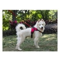 thumbnail image 4 of MISSMILE Dog Harness,Convenient and Functional Puppy Harness,Quick Adjustments Harness Small Size Dog, 4 of 4