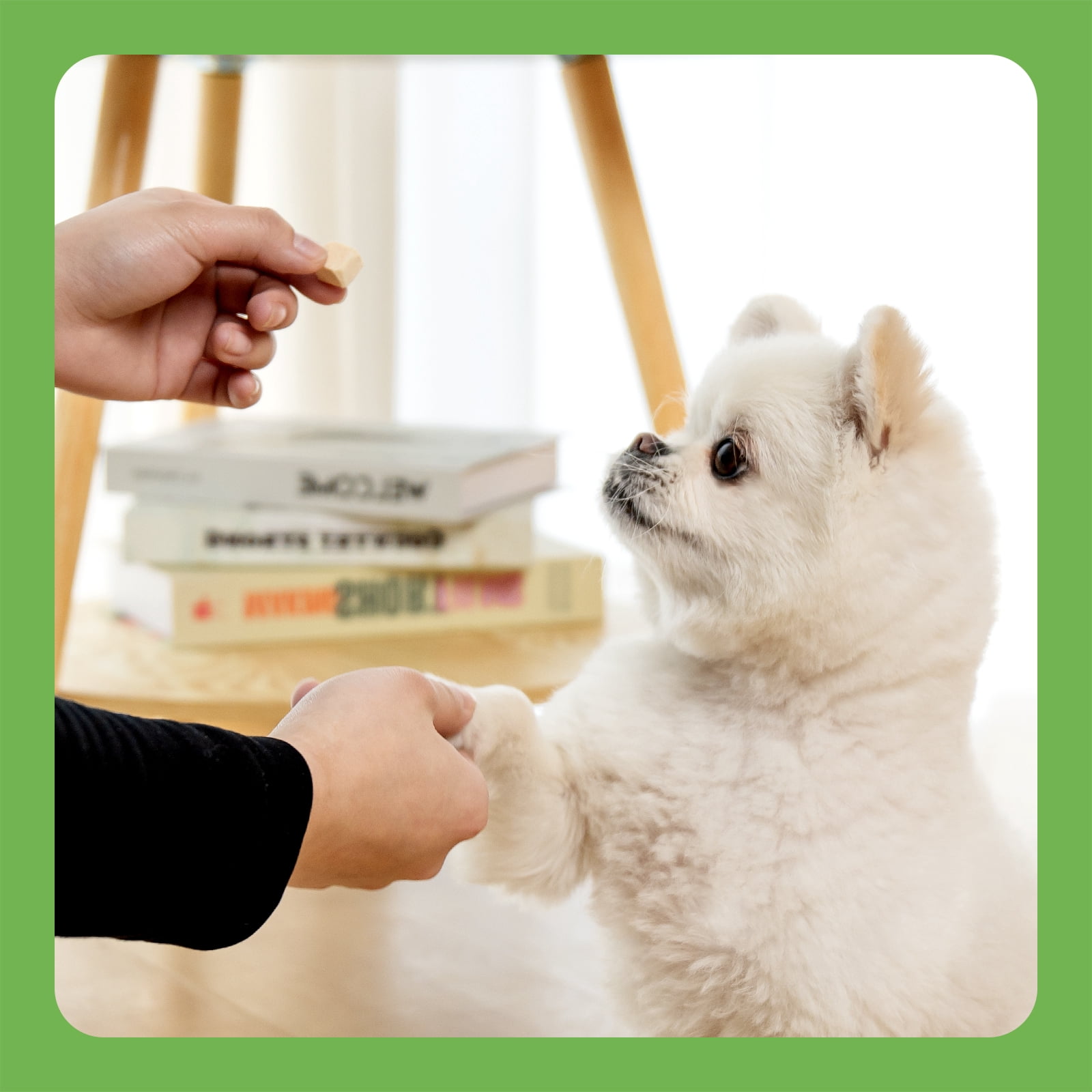 MON2SUN Chicken Freeze Dried Dog Treats, 10.6 oz