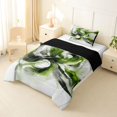 thumbnail image 2 of Homewish Green Gradient Geometric Twin Comforter Sets,Abstract Artwork Bedding Set,Black Reversible,2 Pieces,1 Comforter and 1 Pillowcase, 2 of 7